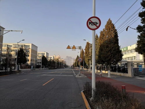 区市政设施管理中心 规范交通秩序，优化市政设施，喜迎冬奥盛会