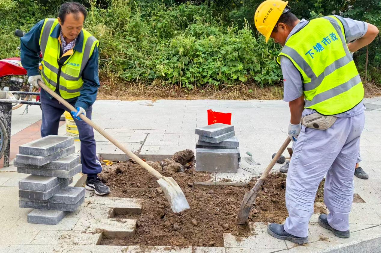 合肥市长丰县下塘镇 精雕细琢市政设施管理，绘就居民幸福生活新画卷