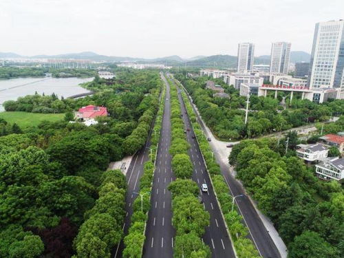小井盖撬动大幸福 无锡市政管理处精细化管养守护市民